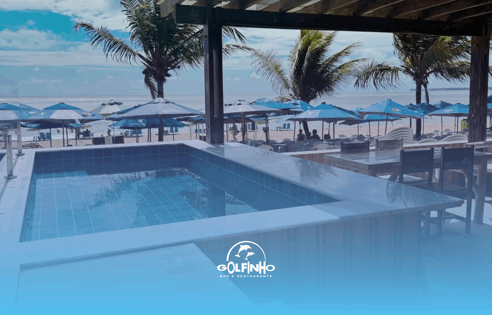 Golfinho Bar